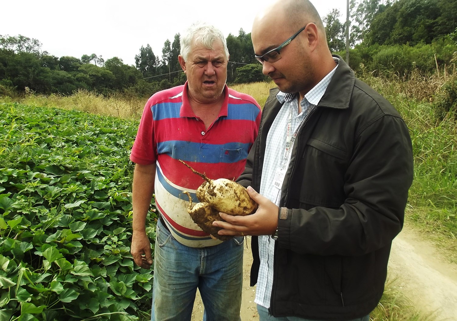 You are currently viewing Secretaria de Agricultura promove encontro com produtores