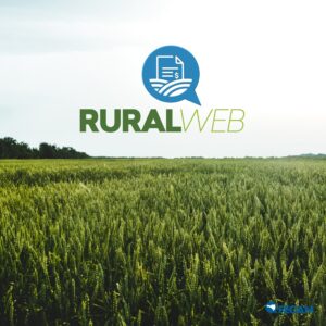 Read more about the article Capacitação Ruralweb – Amunesc