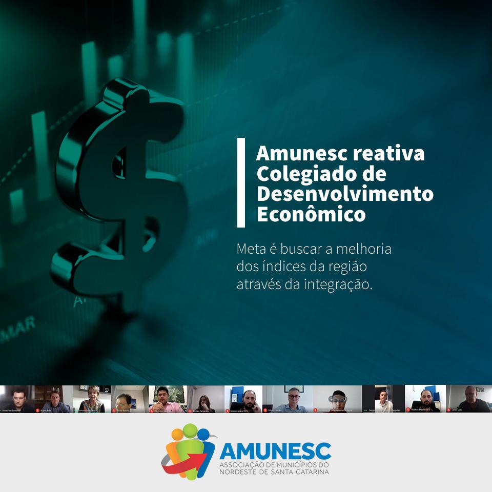 Read more about the article Amunesc reativa Colegiado de Desenvolvimento Econômico