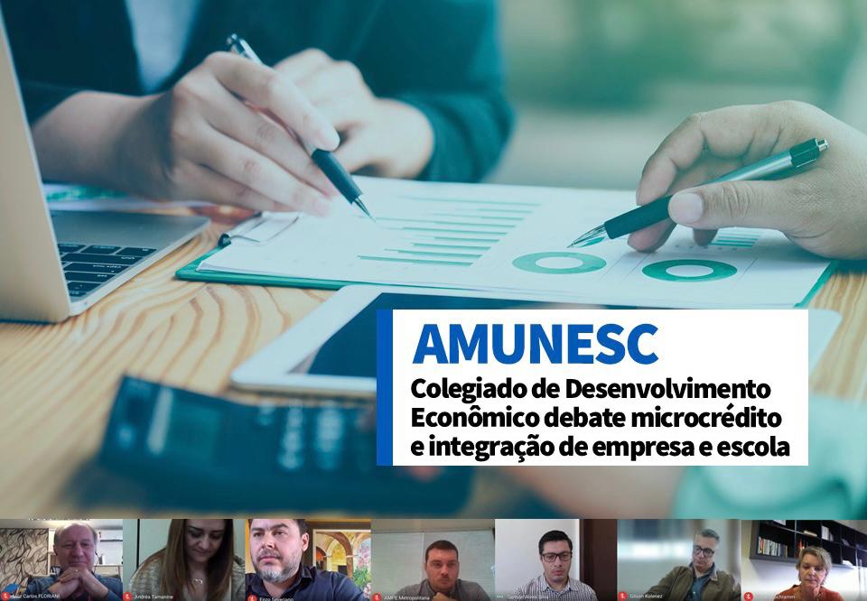 Read more about the article Colegiado de Desenvolvimento Econômico debate microcrédito e integração de empresa e escola