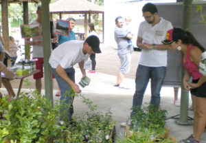 Read more about the article Distribuição de mudas vai marcar o Dia da Árvore na praça Nereu Ramos