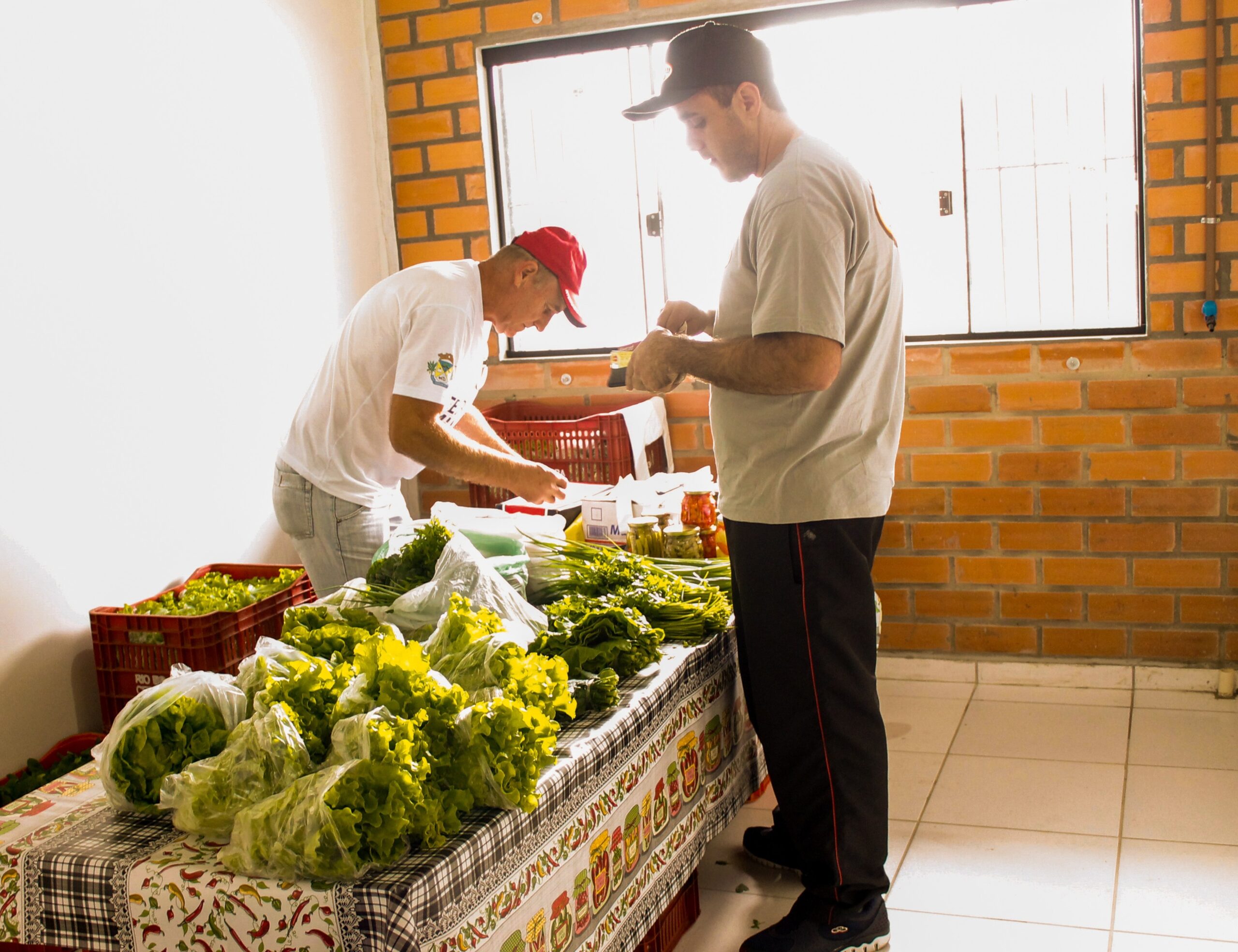 Read more about the article Feira Livre é inaugurada em Garuva