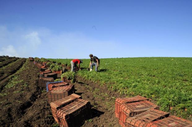 Read more about the article Caixa facilita crédito rural e quer aumentar empréstimos para o setor