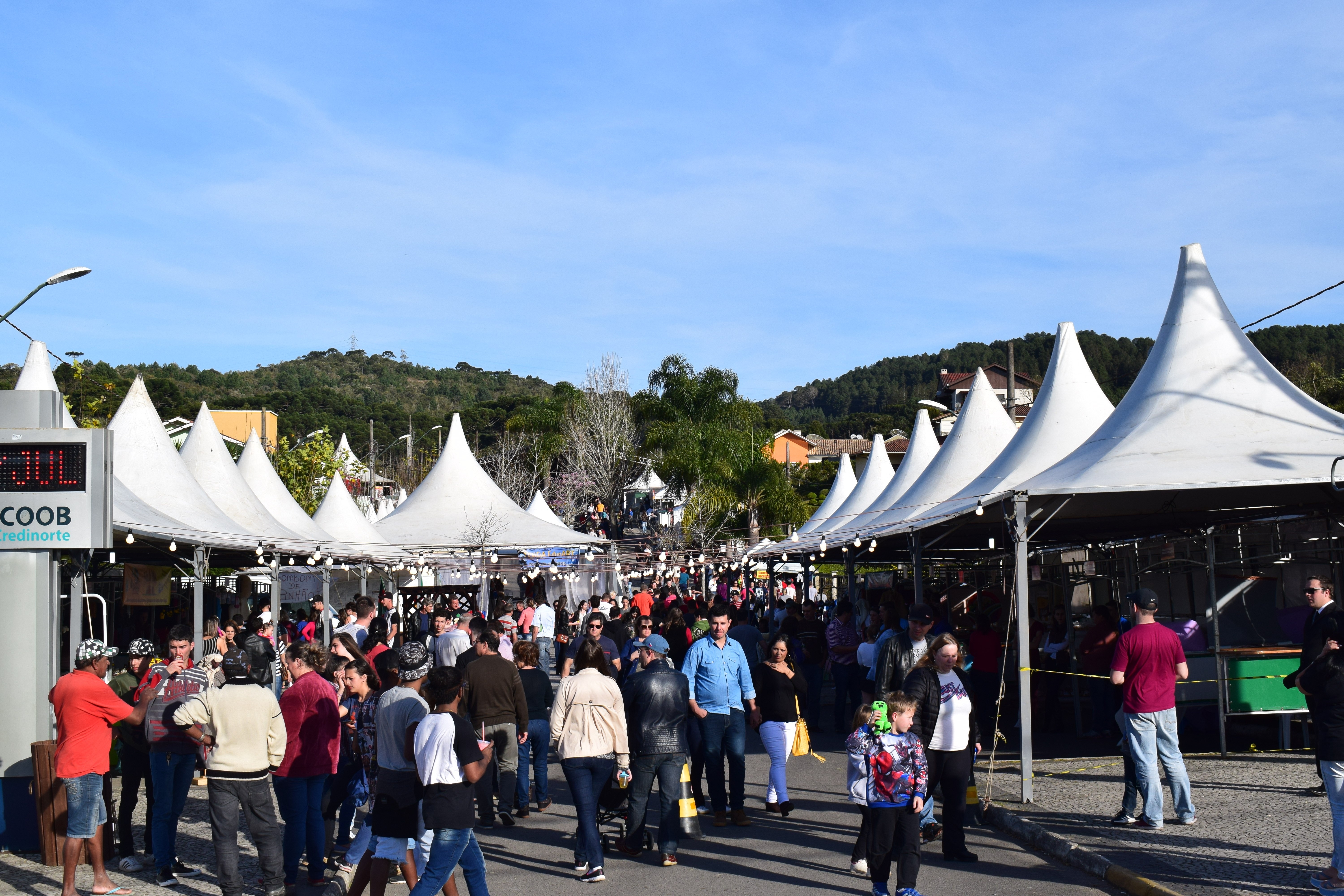 Read more about the article Festival de Inverno de Campo Alegre atrai cerca de 30 mil pessoas