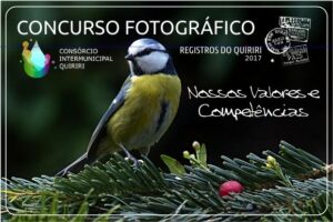 Read more about the article Consórcio Quiriri lança primeira edição do Concurso Fotográfico para celebrar 20 anos