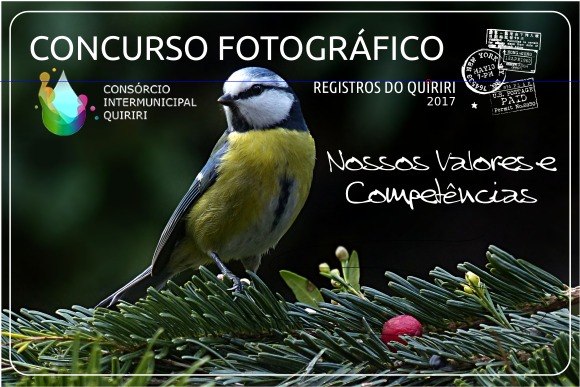 You are currently viewing Consórcio Quiriri lança primeira edição do Concurso Fotográfico para celebrar 20 anos