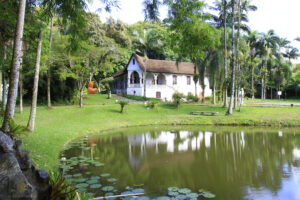 Read more about the article Museu de Arte de Joinville lança nova experiência com projeto de educação patrimonial