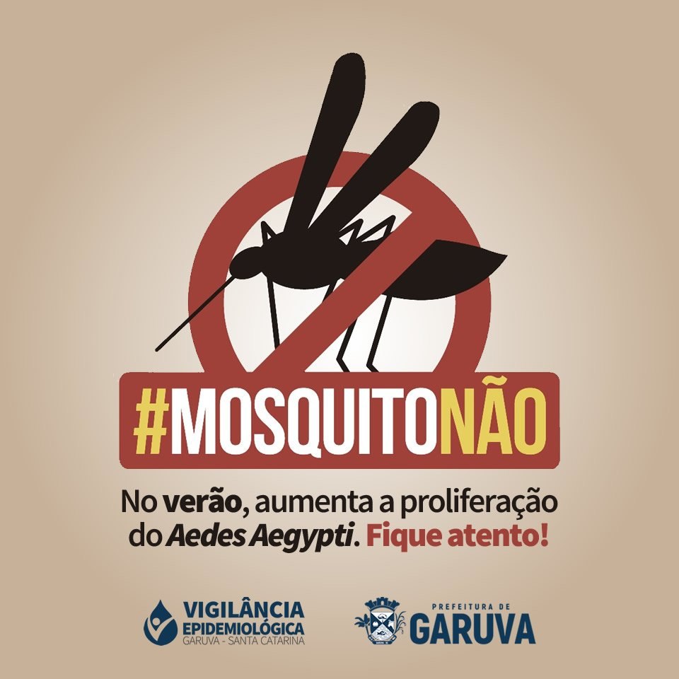 Read more about the article Aedes Aegypti: confira as dicas para evitar a proliferação